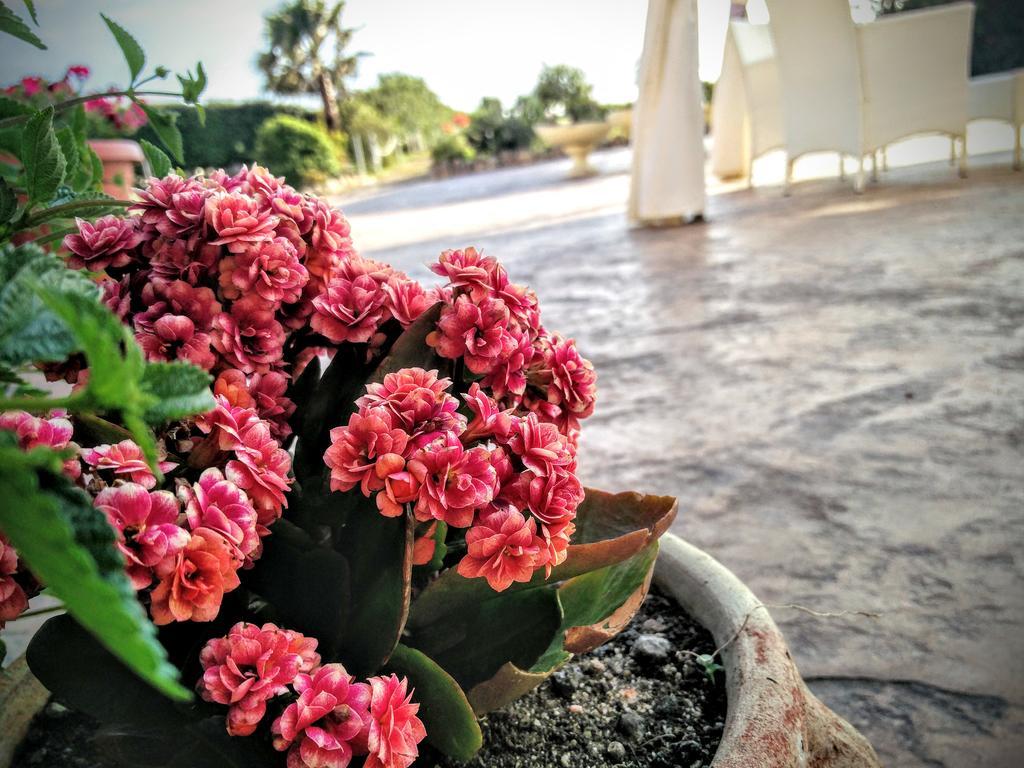 Hotel Raffael Putzu Idu Esterno foto